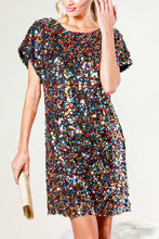 Load image into Gallery viewer, Sequin Dress
